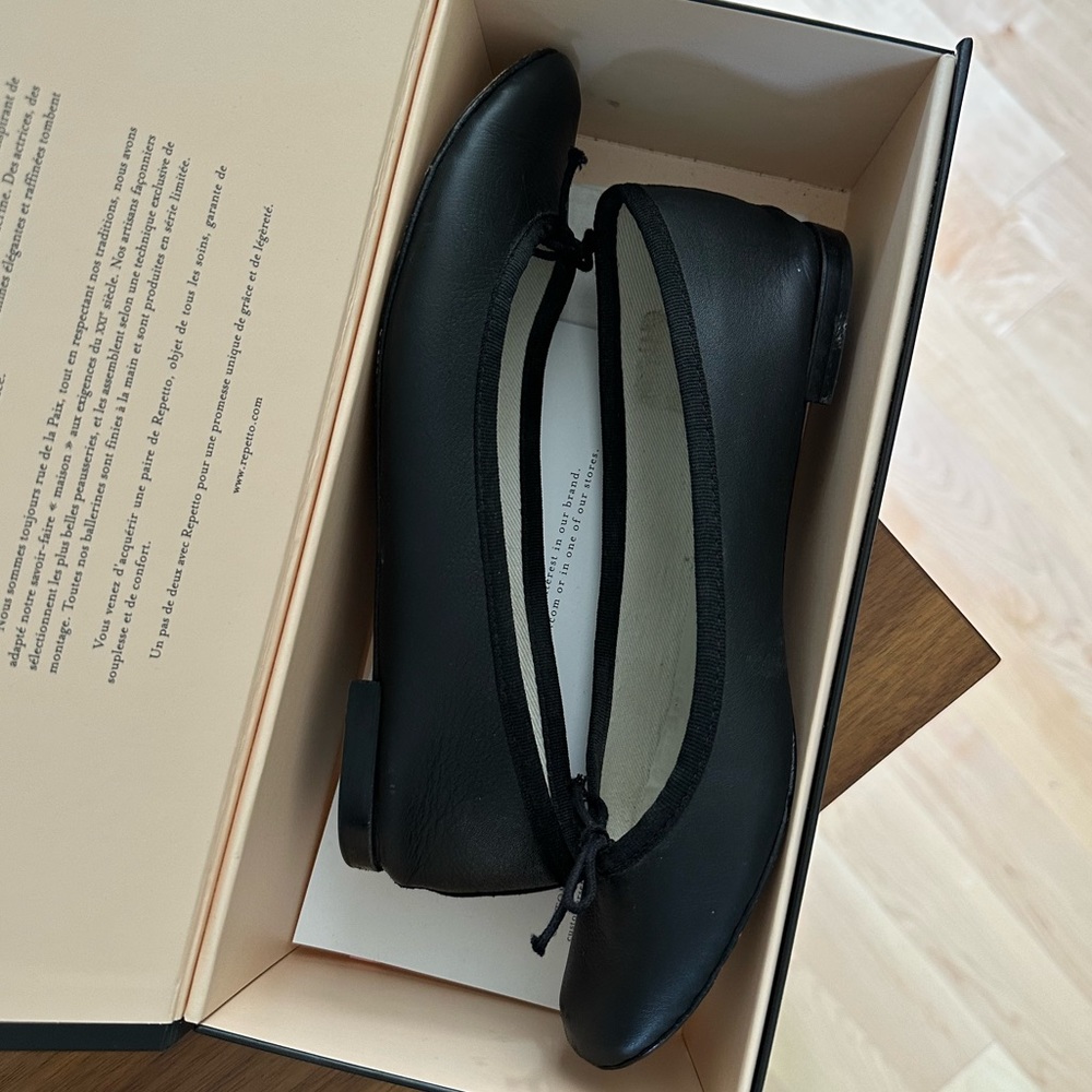 Repetto Cendrillon ballerina flats